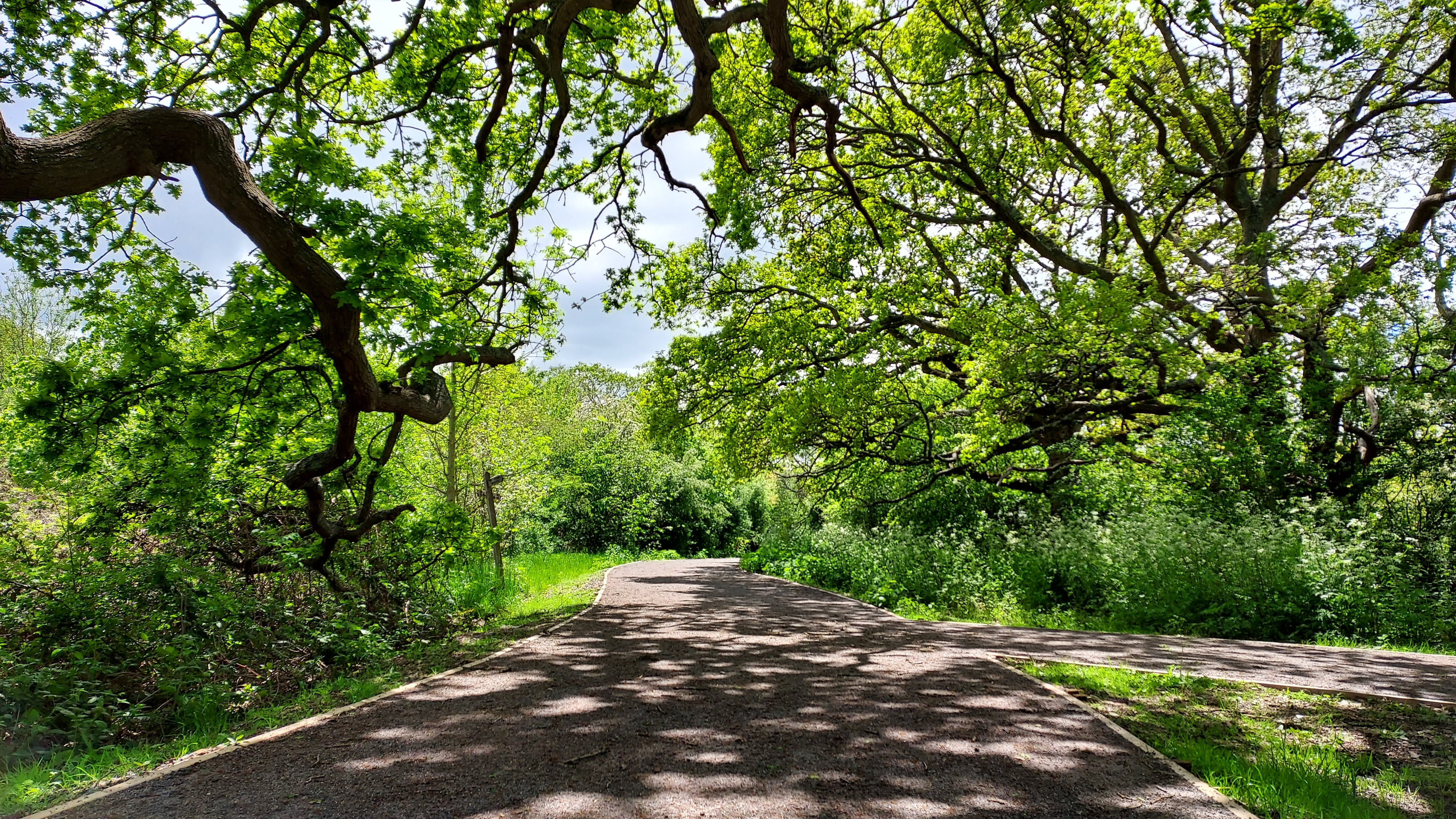 Sustainable Transport - Burgess Hill